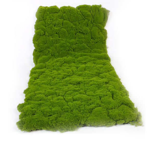 1m*0.5m Green Plant Wall Grass Mat