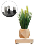 Wood Magnetic Levitation Flowerpot